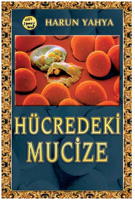 Hücredeki Mucize